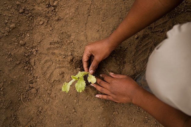 Environmental rehabilitation